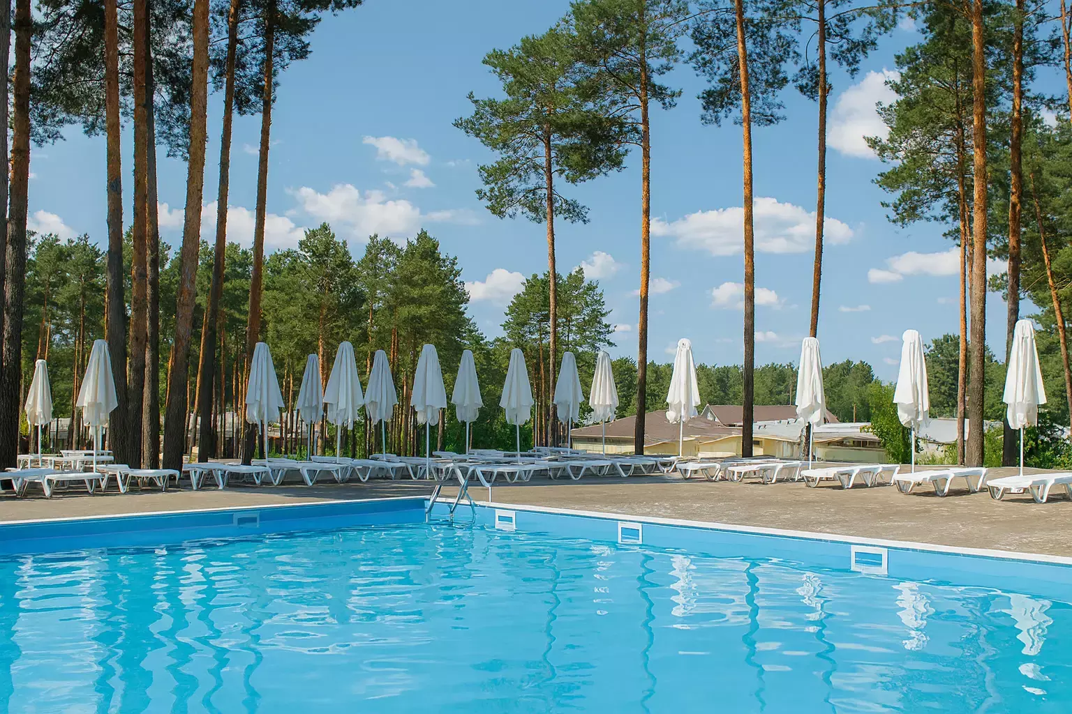 Piscină în aer liber cu șezlonguri și umbrele acoperite printre pini