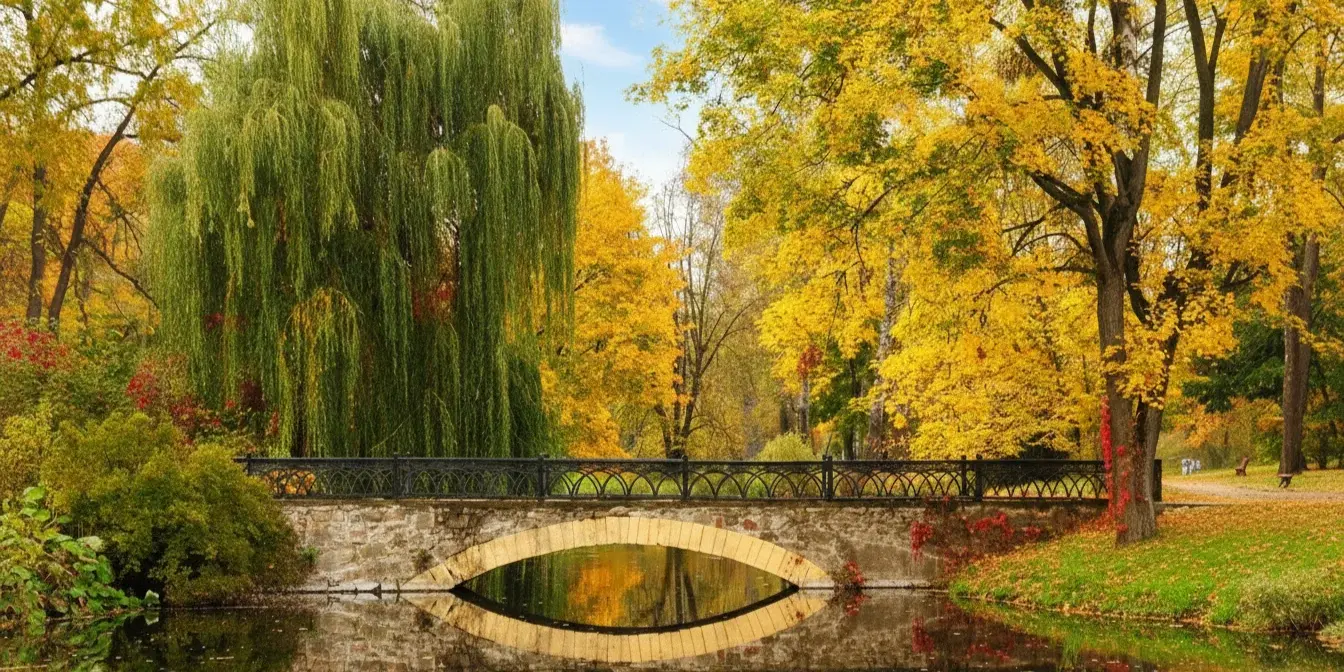 Дендропарк «Александрия» в Белой Церкви – красивое место на целый день