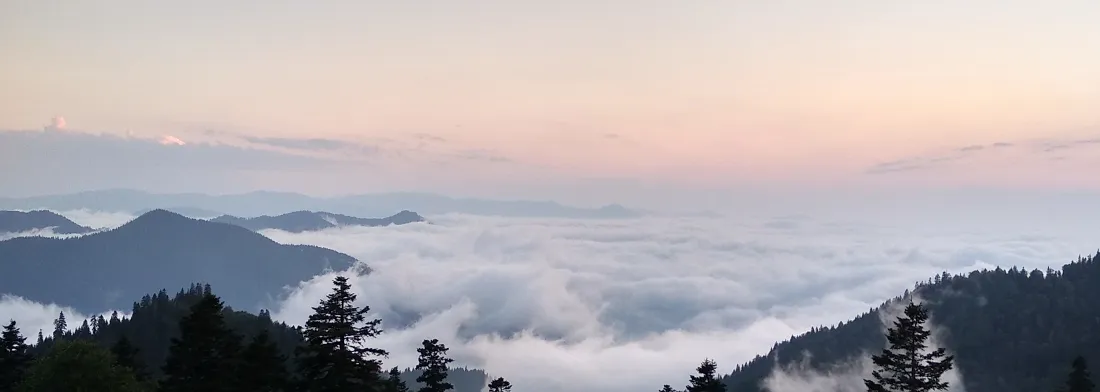 Арендуй авто сейчас!